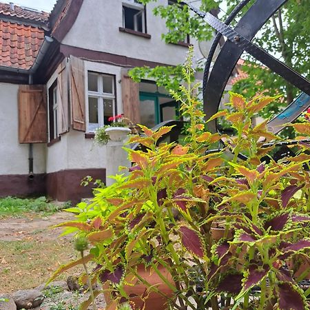 Dom Na Mazurach Pilec Bed & Breakfast ภายนอก รูปภาพ