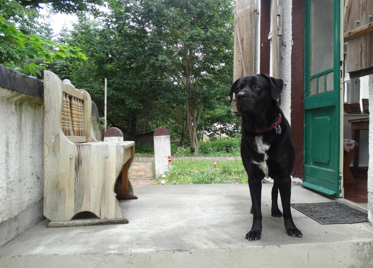 Dom Na Mazurach Pilec Bed & Breakfast ภายนอก รูปภาพ