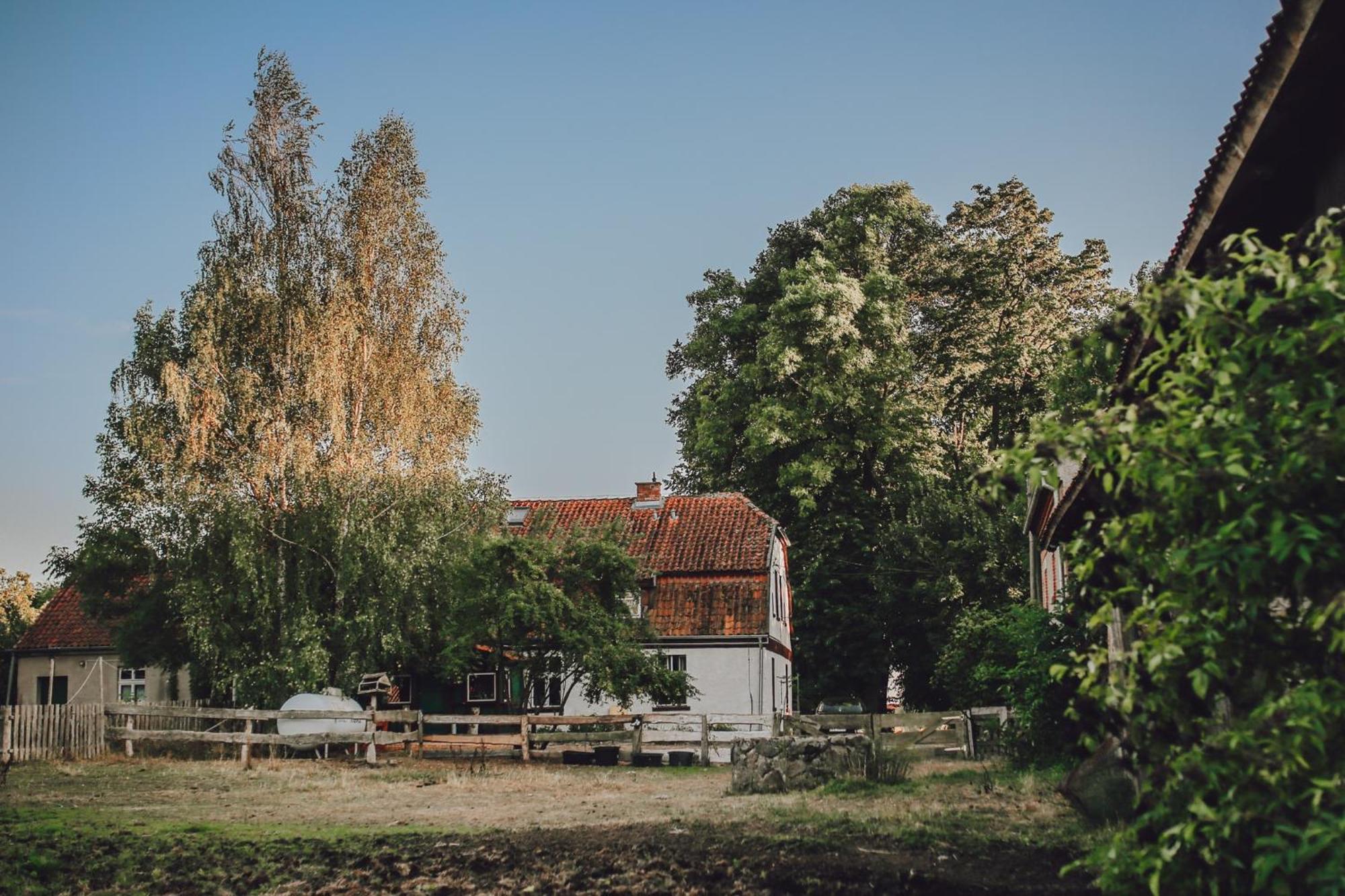 Dom Na Mazurach Pilec Bed & Breakfast ภายนอก รูปภาพ