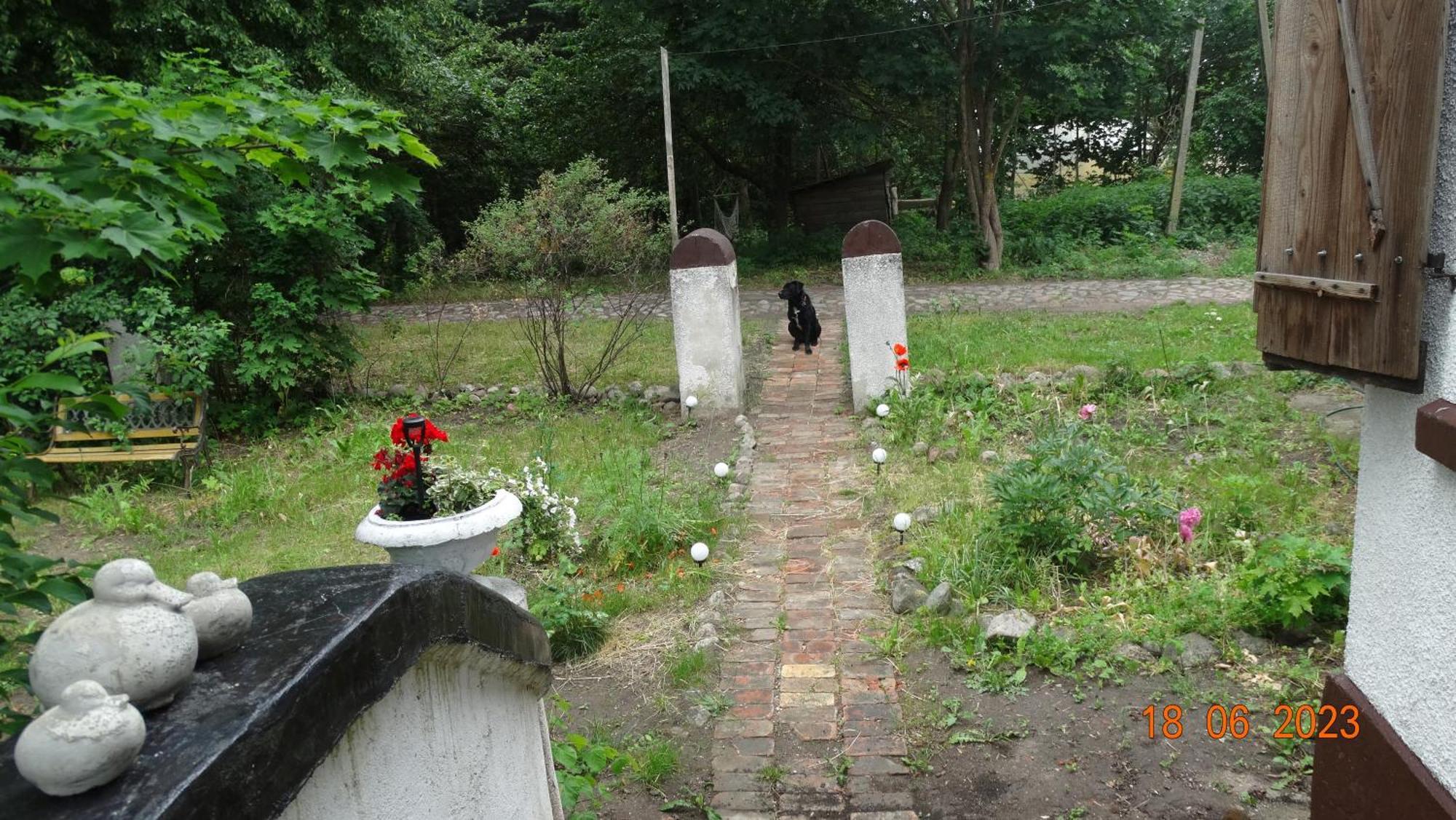 Dom Na Mazurach Pilec Bed & Breakfast ภายนอก รูปภาพ