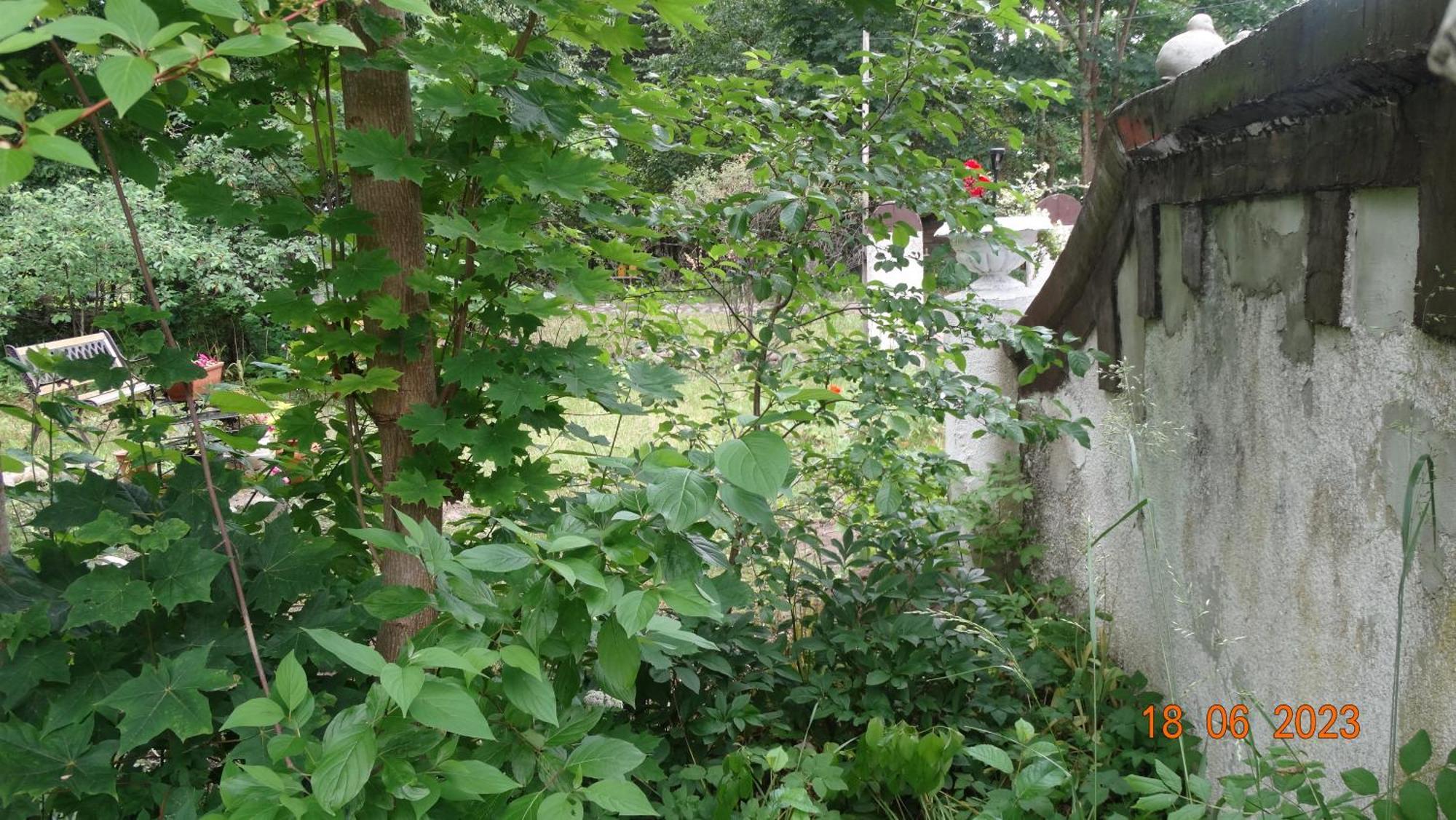 Dom Na Mazurach Pilec Bed & Breakfast ภายนอก รูปภาพ
