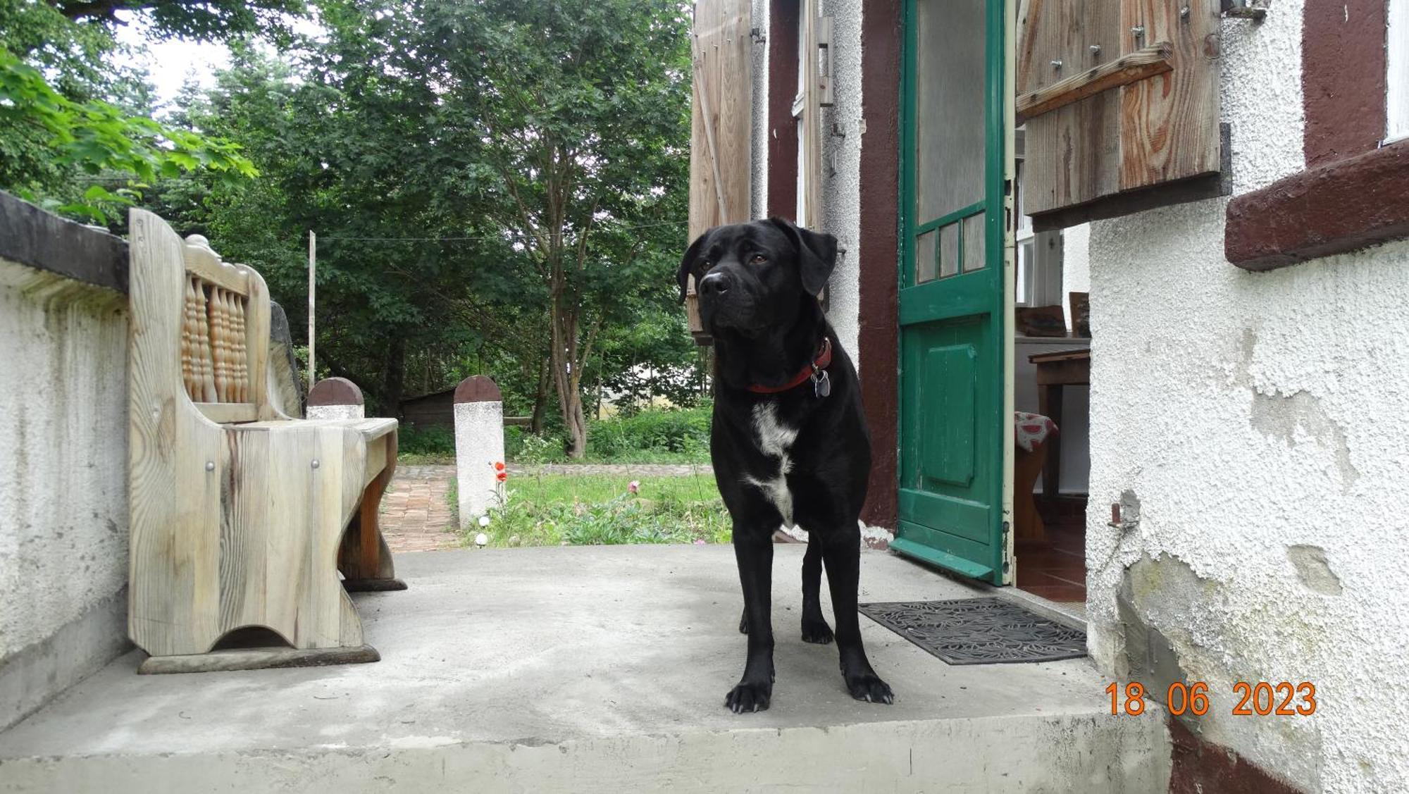 Dom Na Mazurach Pilec Bed & Breakfast ภายนอก รูปภาพ