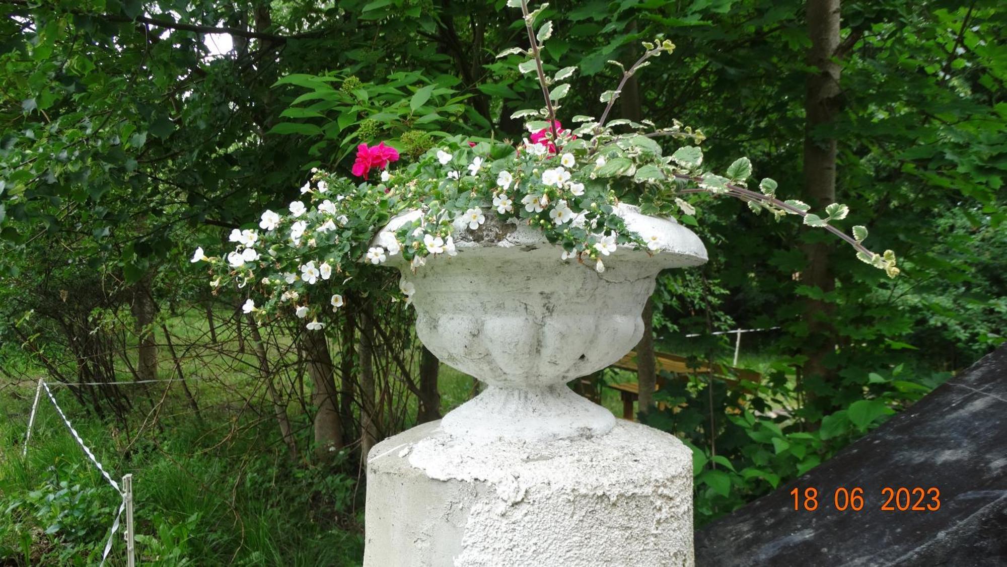 Dom Na Mazurach Pilec Bed & Breakfast ภายนอก รูปภาพ