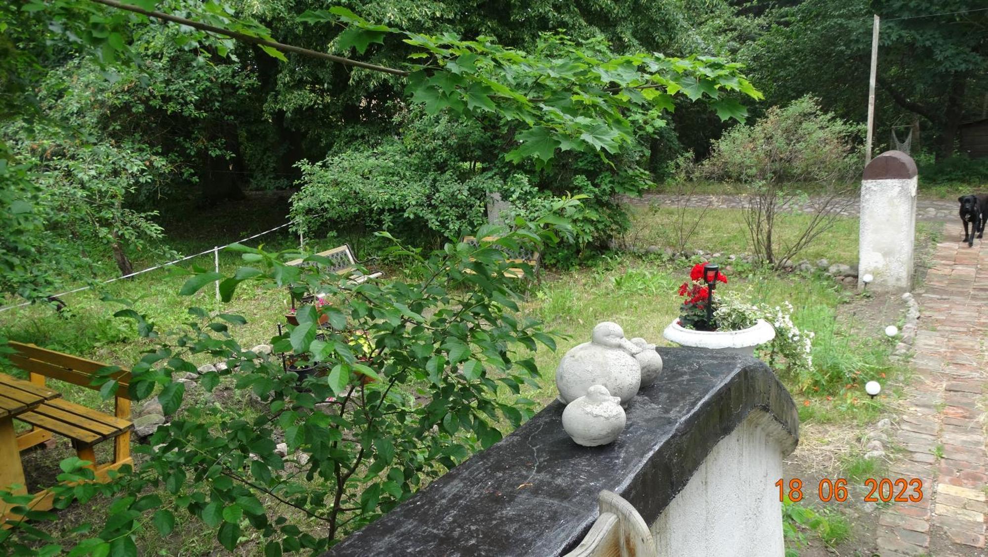 Dom Na Mazurach Pilec Bed & Breakfast ภายนอก รูปภาพ
